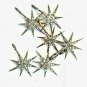 Pave Diamond 1pc Star Charm Pendant 925 Silver Charm Pendant Valentines Present.