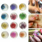 12 Colors 3D Real Dry Dried Flower UV Gel Acrylic Nail DIY Art Tips Decor Tips