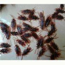 Prank Fake Roaches Plastic Cockroaches Creepy Roach Bugs Party Games Toys Gift