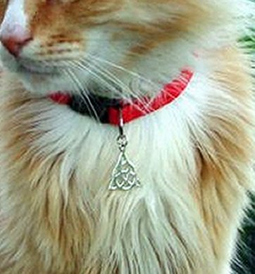 Witches Familiar Kitty WB CHARMED Triquetra Cat Collar