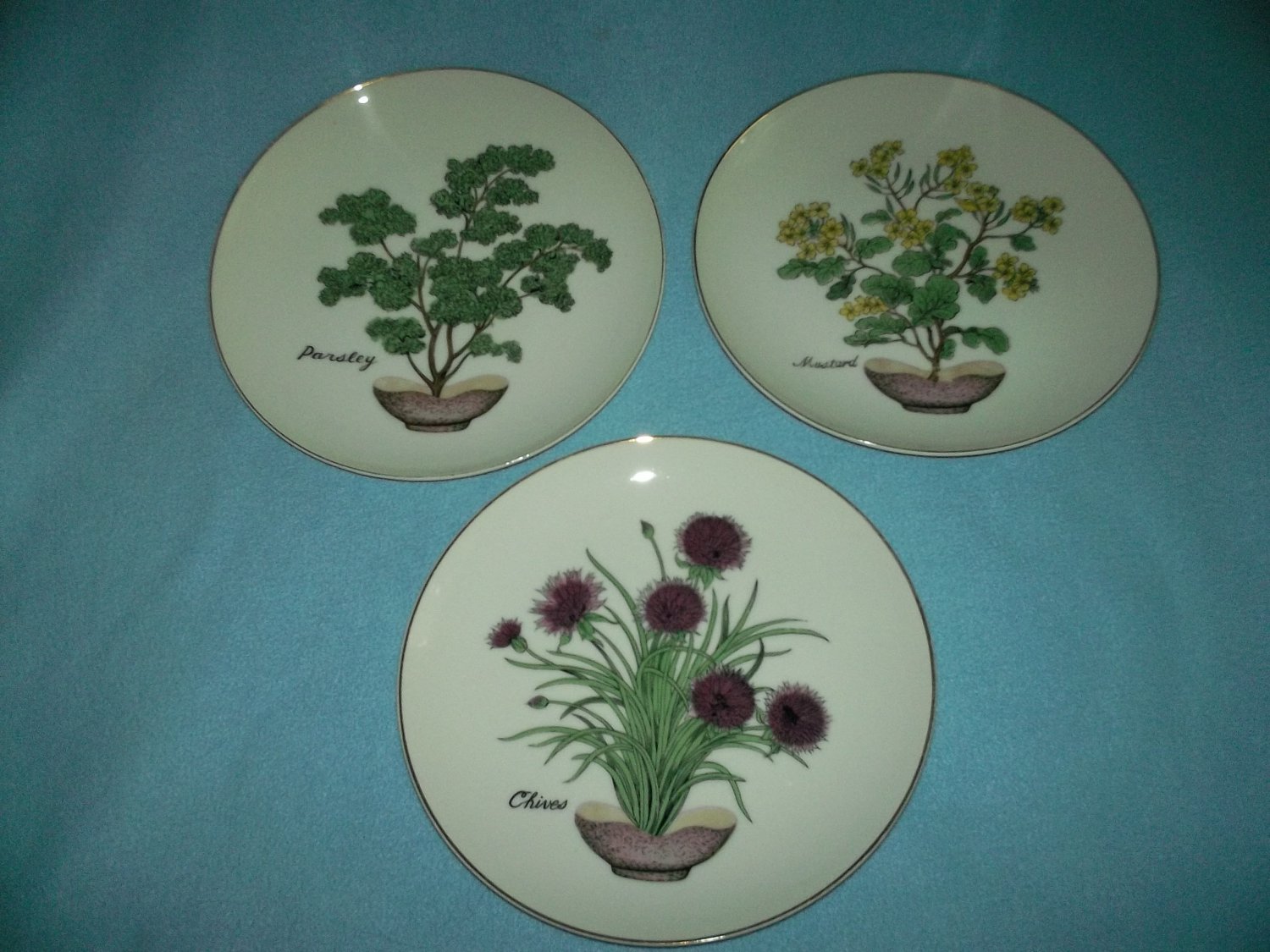 HERB PLATES Set of Three ANDREA BY SADEK Chives Mustard Parsley