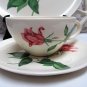 Pretty Vintage SEARS HARMONY HOUSE Betsy Rose 3 Piece Set Dinner Plate Cup and Saucer