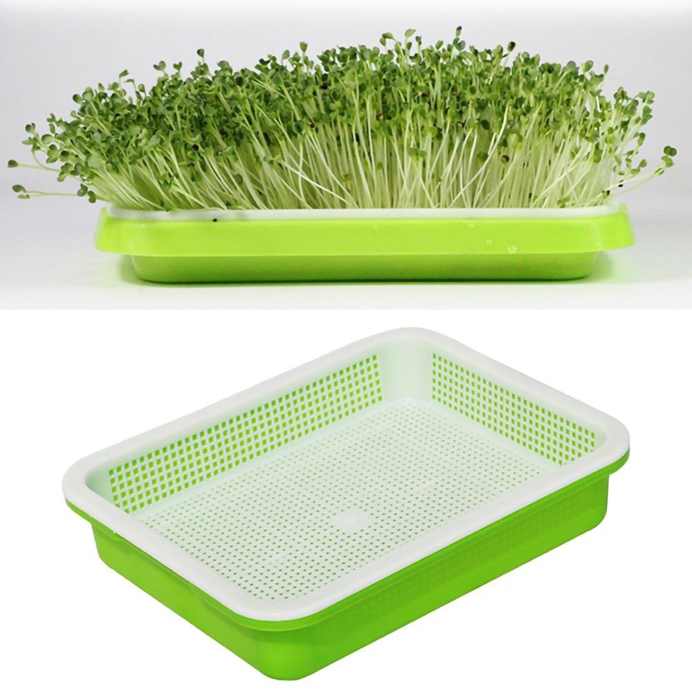 Basket Flower Plant Home Garden Bean Sprouts Double-layer Dishes Plate Seedling Tray Plastic