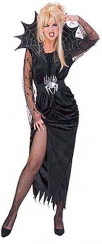 NEW The Widow's Web Halloween Costume Womens Standard