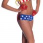 NEW LADY GAGA American Flag Costume Standard Sexy