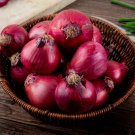 Red Onion 1 kg