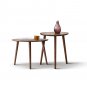 (SINGLE) Center Table Low Table 100% Solid Oak Wood Top Plate Desk Pebble Shaped Natural Wooden Coff