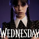 DVD - Wednesday (2022) - Complete TV Series / Seasons 1 & 2 - DVD Version
