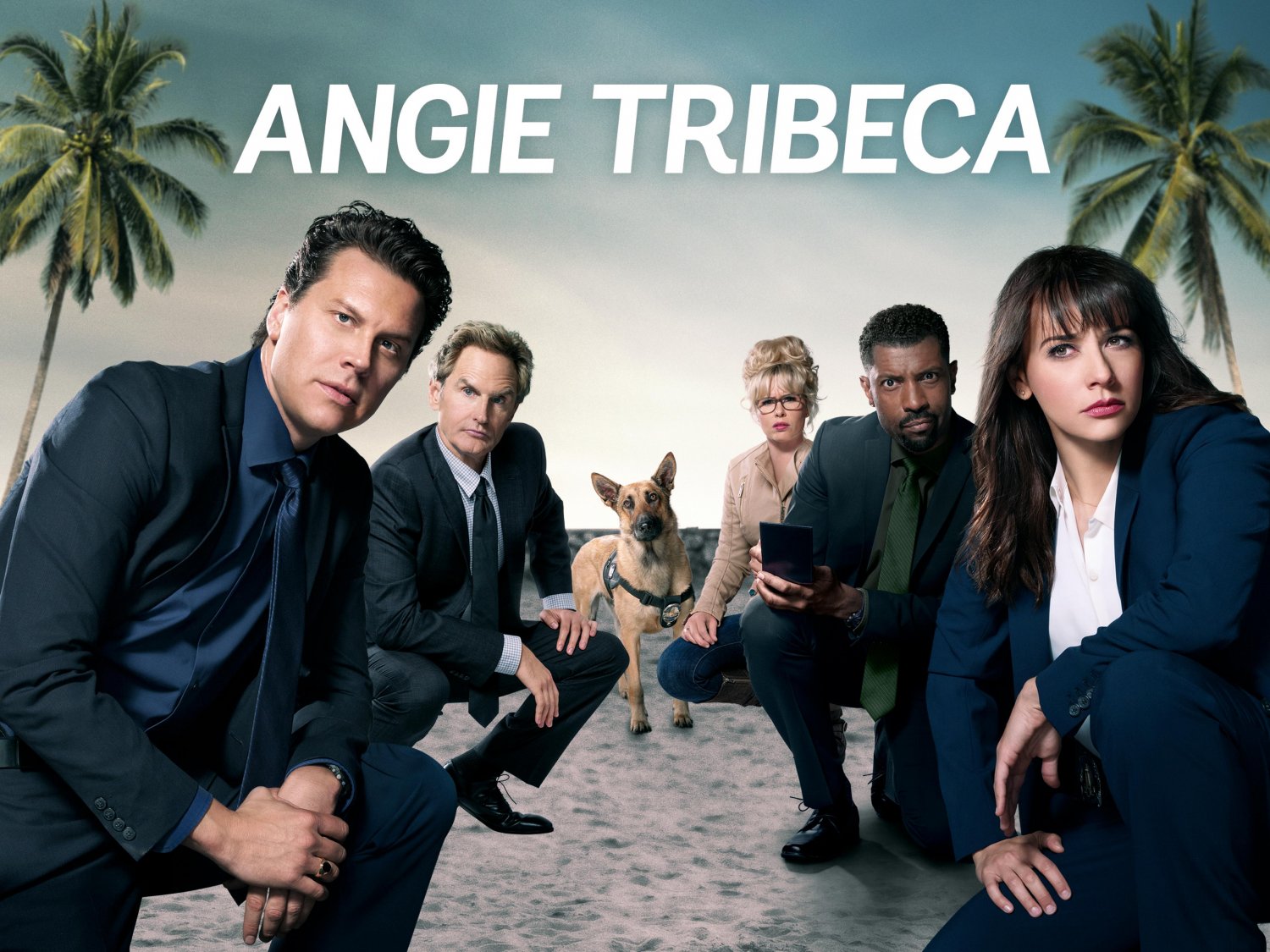 DVD - Angie Tribeca - The Complete Series - Seasons 1 - 4