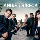 DVD - Angie Tribeca - The Complete Series - Seasons 1 - 4