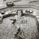 Myrna Loy magazine photo clipping X4919