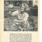 K T Stevens 1page magazine photo clipping X5021