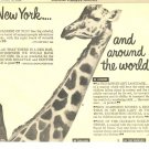 Rex Harrison 1 page magazine photo clipping N2471