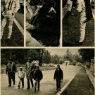 Steve McQueen 1 page magazine photo clipping N3700