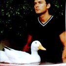 Jude Law 1 page magazine photo clipping N3892
