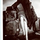 Marlene Dietrich 6x8 magazine photo clipping N5246