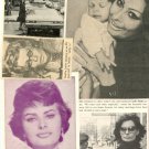 Sophia Loren magazine photo clipping lot N6088