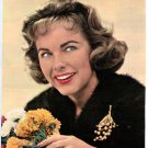 Terry Moore 1 page magazine photo clipping B7577