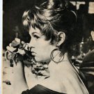 Brigitte Bardot 1 page magazine photo clipping B7606