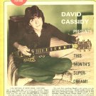 David Cassidy 1 page magazine photo clipping C0358