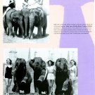 Frances Rafferty 1 page magazine photo clipping C0823