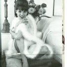 Elsa Martinelli 3 page magazine photo clipping C1325