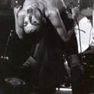 Iggy Pop 1 page magazine photo clipping  C2381