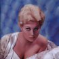 Lot 5 Hot Photos 8x12 size Celebrity Hot Sexy Model Kim Novak Free Shipping #0091