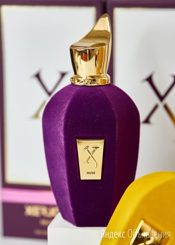 Xerjoff Muse 100 ml 3.4 fl. oz. spray