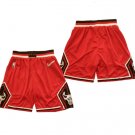 men's Chicago Bulls Shorts 75th Diamond 2022 Red City Edition Mesh Basketball Game adults Pants