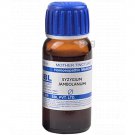 SBL Syzygium Jambolanum Mother Tincture Q 30 ML For blood sugar levels , indigestion and diarrhoea