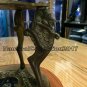 Lion Engraved Brass Armillary Sphere World Globe Decor Item 18 Inches Large