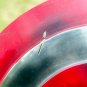 Captain America Battle Damage Shield ~ Steve Roger Shield Gift item