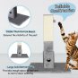 31 Inch Tall Cat Scratching Post Claw Scratcher with Sisal Rope and 2 plush Ball color  Gray