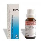dr reckeweg r26 remisin 22ml