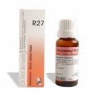 dr reckeweg r27 for kidney 22ml