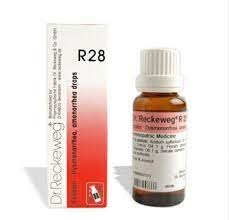 dr reckeweg r28 22ml