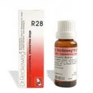 dr reckeweg r28 22ml