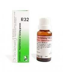 dr reckeweg r 32 22ml