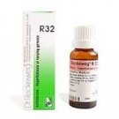 dr reckeweg r 32 22ml