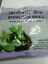 Patanjali Divya Putrajeevak Beej,free shipping