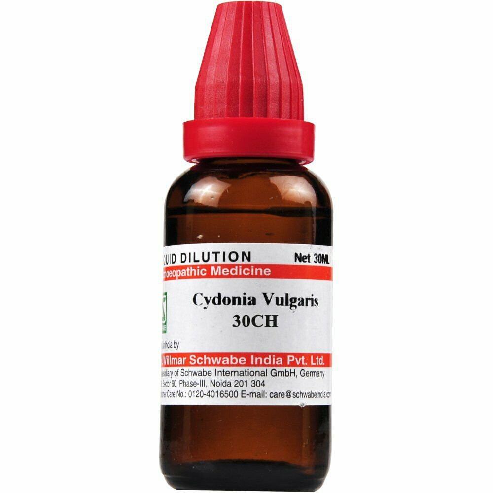 Dr Willmar Schwabe India Cydonia Vulgaris Dilution 30 CH  free shipping