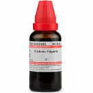 3 c Dr Willmar Schwabe India Cydonia Vulgaris Mother Tincture Q Free Shipping