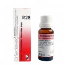 5 x dr reckeweg r 28 homeopathy medicine 22ml