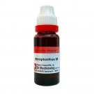 Dr Reckeweg Germany Homoeopathic Strophanthus Hispidus Mother Tincture (20ml)
