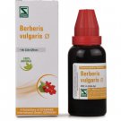 3 pc Willmar Schwabe India Berberis vulgaris 1X (Q) (30ml) free shipping