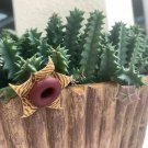 1 Plant Lifesaver Plant Huernia confusa Phillips Zebrina Starfish Cactus Owl's Eye Organ KD003
