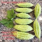 Bitter Gourd seeds, Balsam Pear 30 Bitter Melon , Ku Gua, Foo Gwah, Kho Qua F1