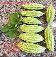 Bitter Gourd seeds, Balsam Pear 30 Bitter Melon , Ku Gua, Foo Gwah, Kho Qua F1