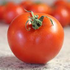 Fresh Bradley Tomato Seeds 250 Seeds Vegetable Tomato Seeds
